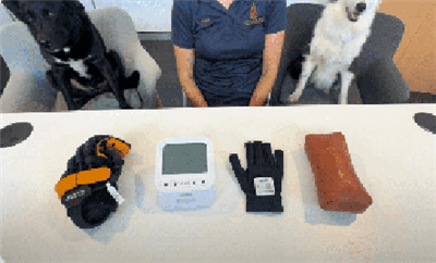 Покрокове-за-навчанням Syrebo E12 Glove (від рівня 1 до 3)